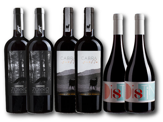 Pack Vendimia - Caja 6 bt.